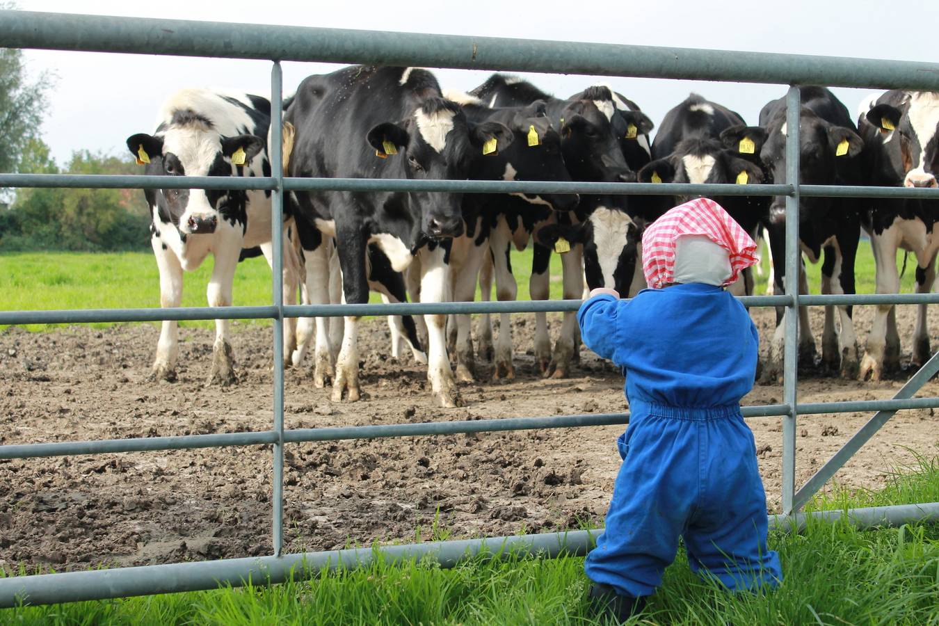 Ganze Ferienwohnung, Ferienlandhaus Harms-Janssen - "Gartenblick" in Wangerland, Südliche Nordseeküste