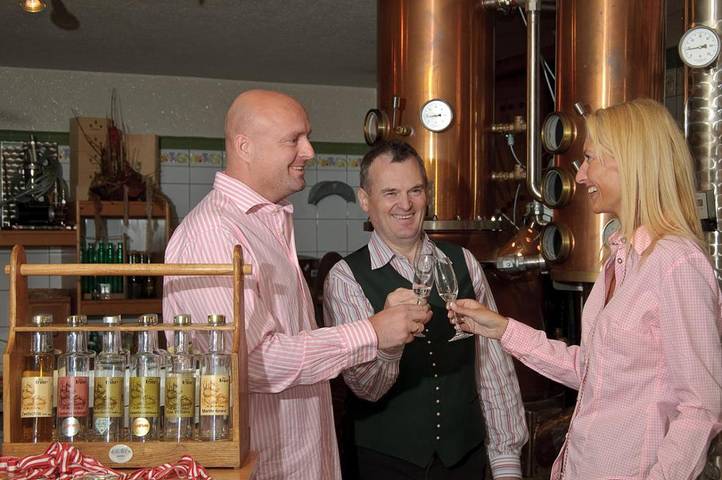 Ferienwohnung für 4 Personen, mit Sauna und Garten sowie Balkon, kinderfreundlich in Waldviertel - 2