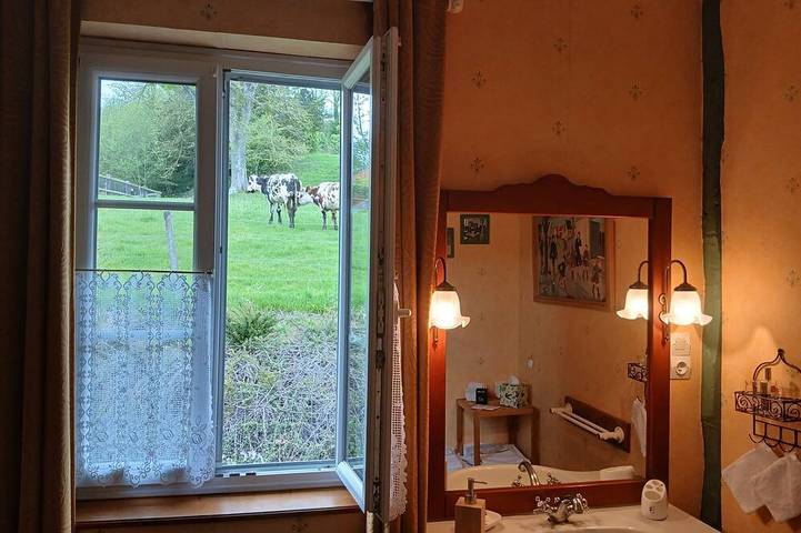 Chambre d’hôte pour 2 personnes, avec jardin à Courtonne-la-Meurdrac - 3