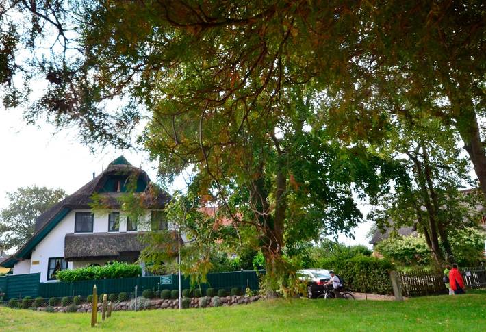 Ferienhaus für 8 Personen, mit Terrasse in Groß Zicker