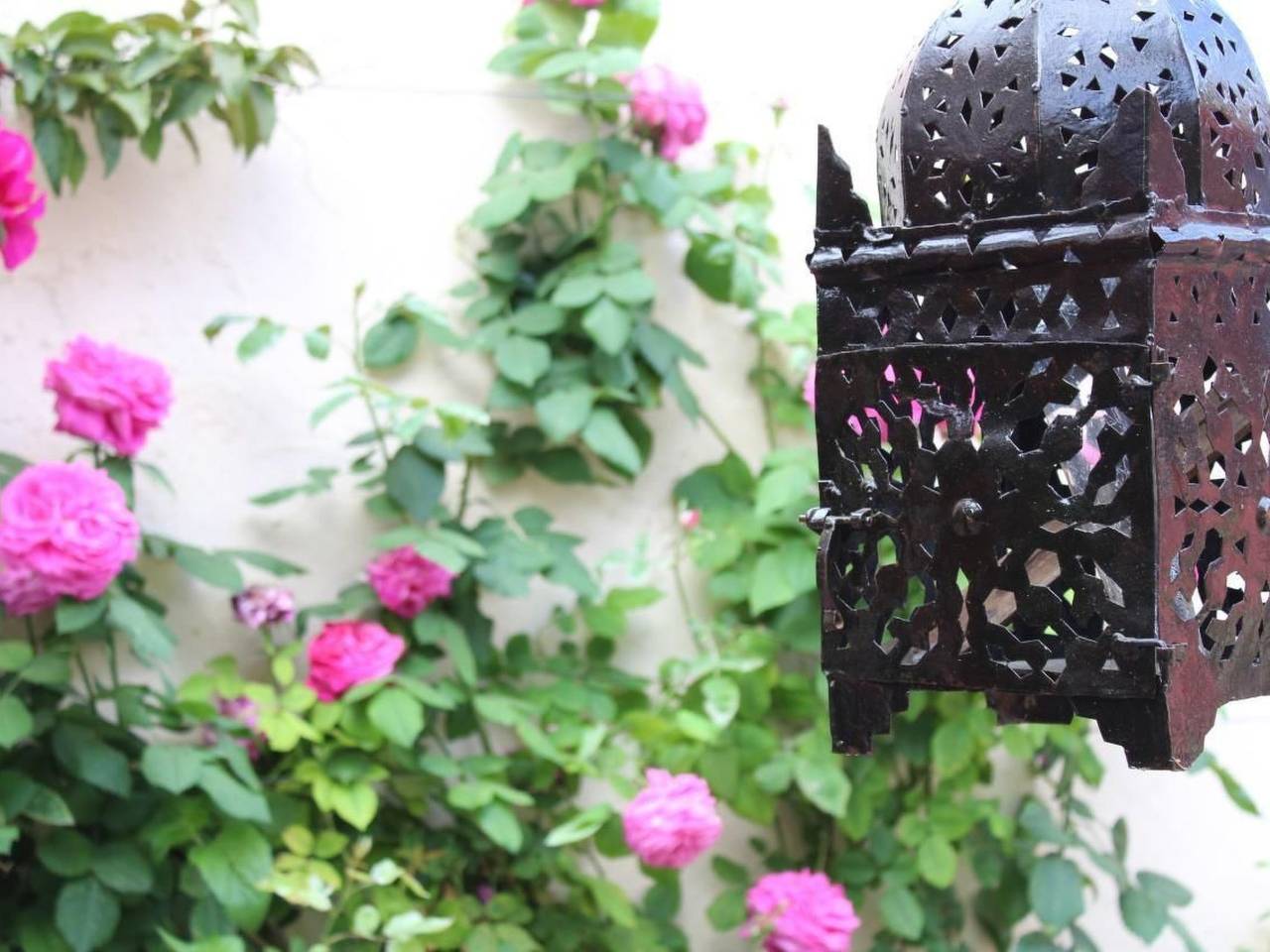 Entire apartment, Casa Magdalena, Fincahaus, Hund erlaubt, Pool in San Pedro del Pinatar, Costa Cálida