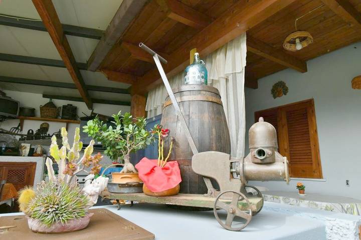 Gîte pour 3 personnes, avec jardin et terrasse, adapté aux familles dans Ischia - 4