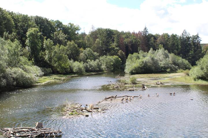 Ferienhaus für 4 Personen, mit Garten und Seeblick im Sauerland - 4