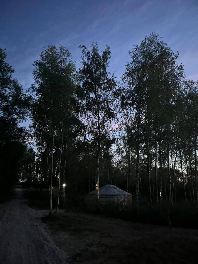 Tente pour 4 personnes, avec jardin et terrasse ainsi que vue et vue sur le lac, animaux acceptés dans Grand Est - 4
