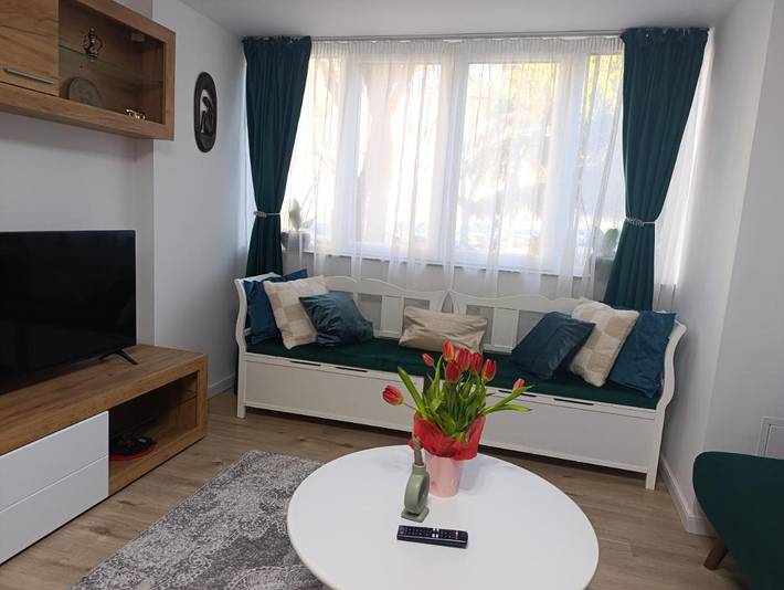 Gîte pour 3 personnes, avec jardin dans Baia Mare - 2