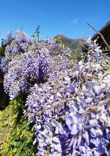Location de vacances pour 4 personnes, avec jardin dans Portixeddu