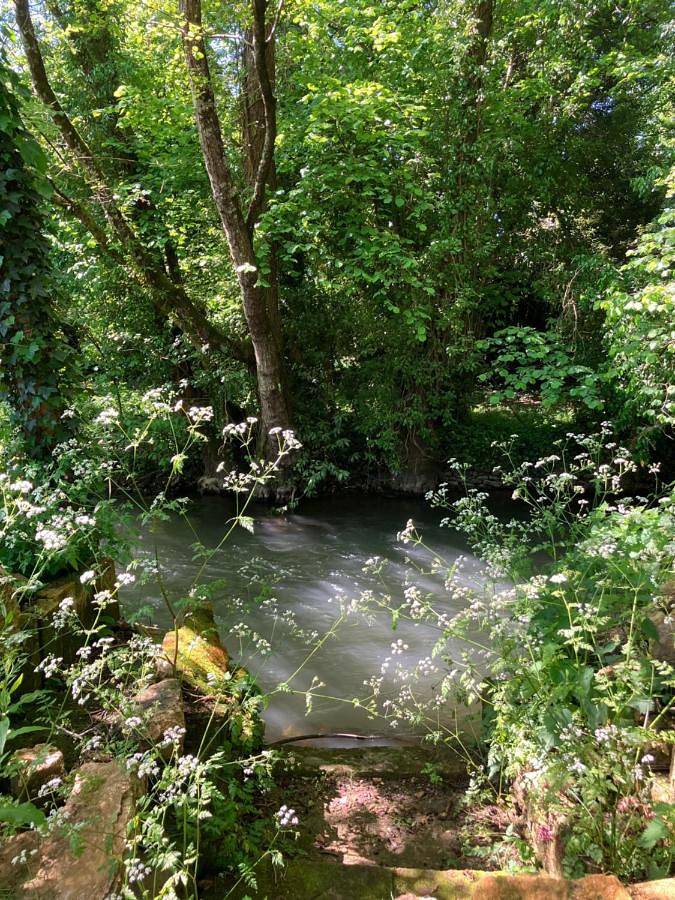 Location de vacances pour 9 personnes, avec vue sur le lac et vue ainsi que piscine et jardin à Saint-Maixent-l'École - 2