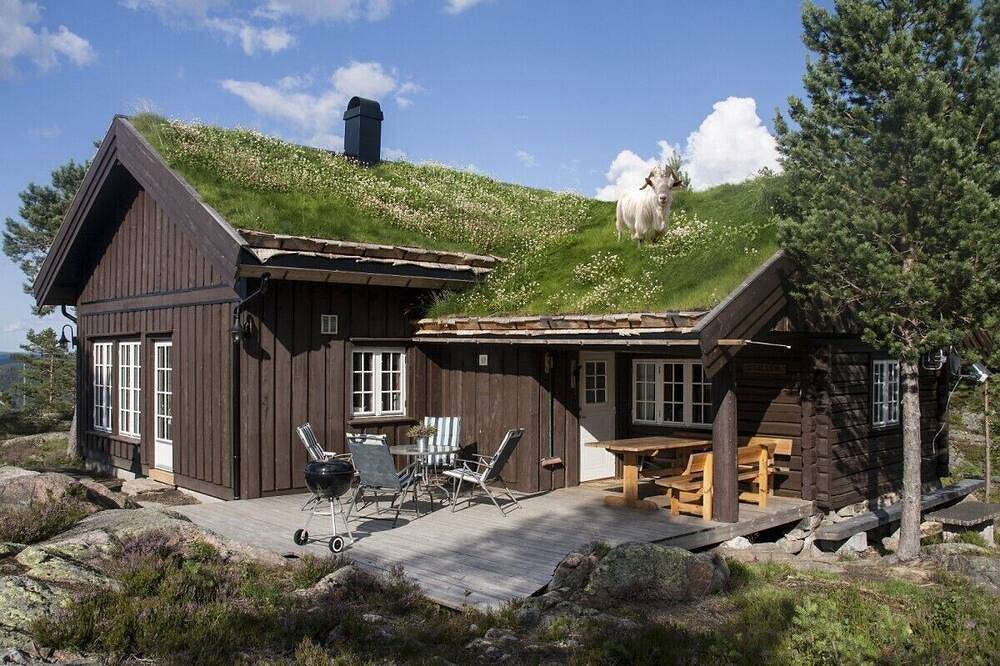 Modernes Blockhaus auf Blefjell in Flesberg
