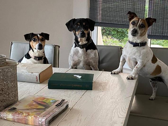 Casa rural para 4 personas, con vistas además de jardín y piscina en Lagos - 2