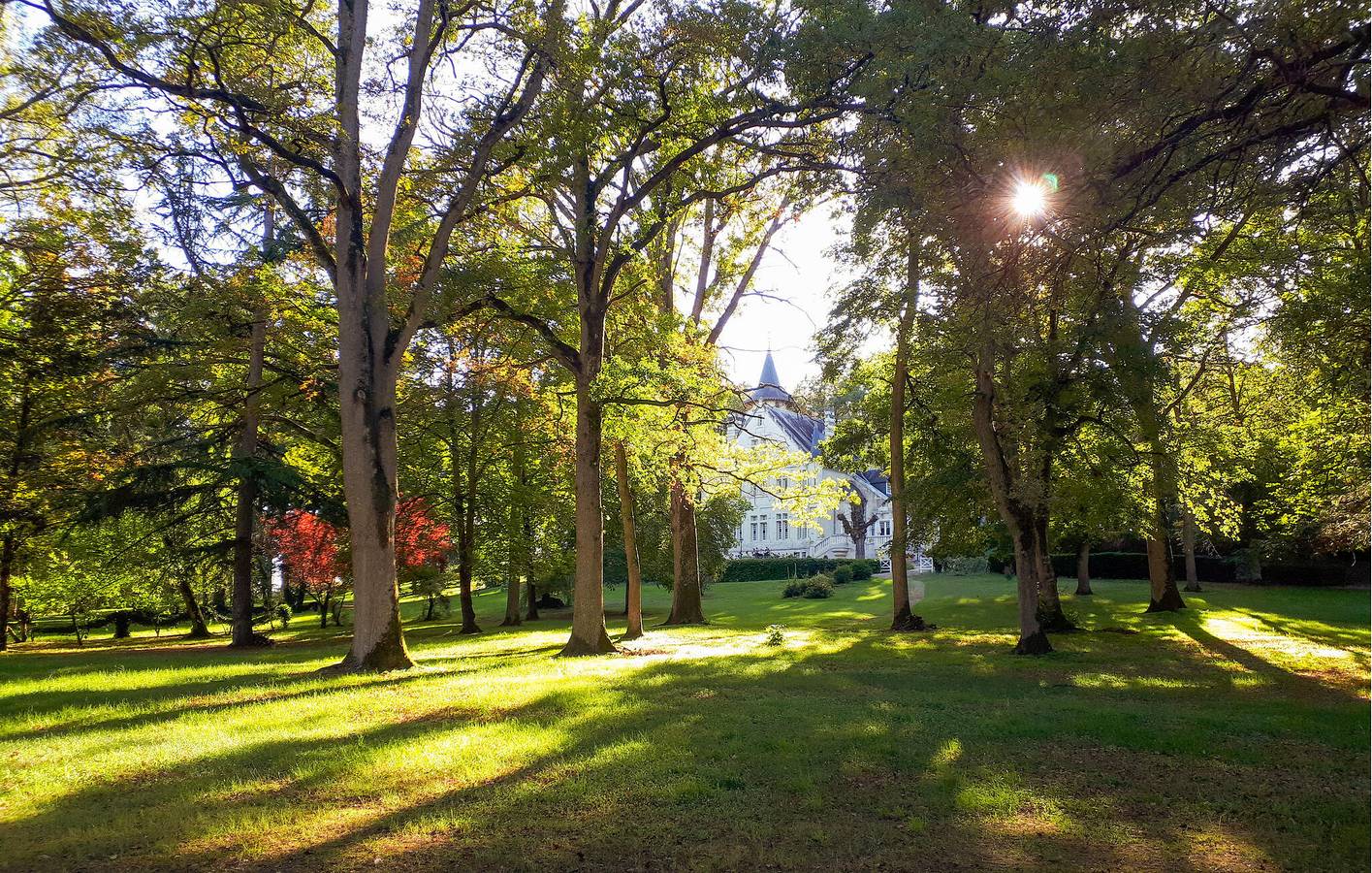 Appartement de luxe avec piscine, jardin et parking - 2km de Lencloître in Lencloître, Vienne (France)