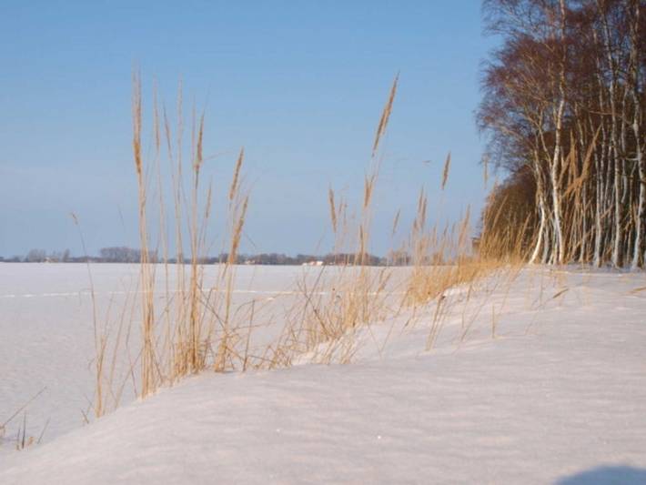 Ganze Ferienwohnung, Familienfreundlicher Landurlaub im Gutshaus - 10 Fewo 4 Pers in Trent, Rügen