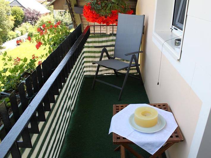 Ganze Ferienwohnung, Ferienwohnung mit 1 Schlaf-u. Wohnzimmer in Gmunden, Bezirk Gmunden