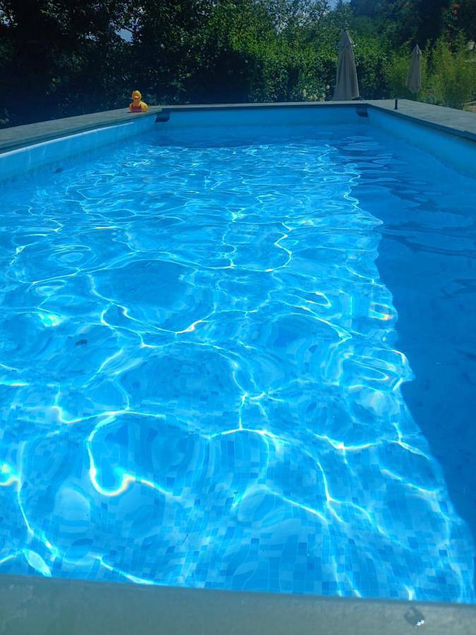 Residence per 5 persone, con giardino e sauna nonché idromassaggio e piscina - 1