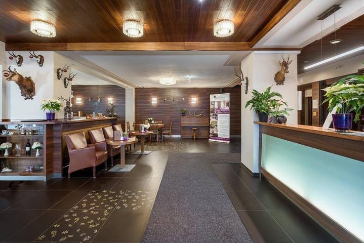 Hotel, mit Terrasse und Sauna in Hochsteiermark - 2