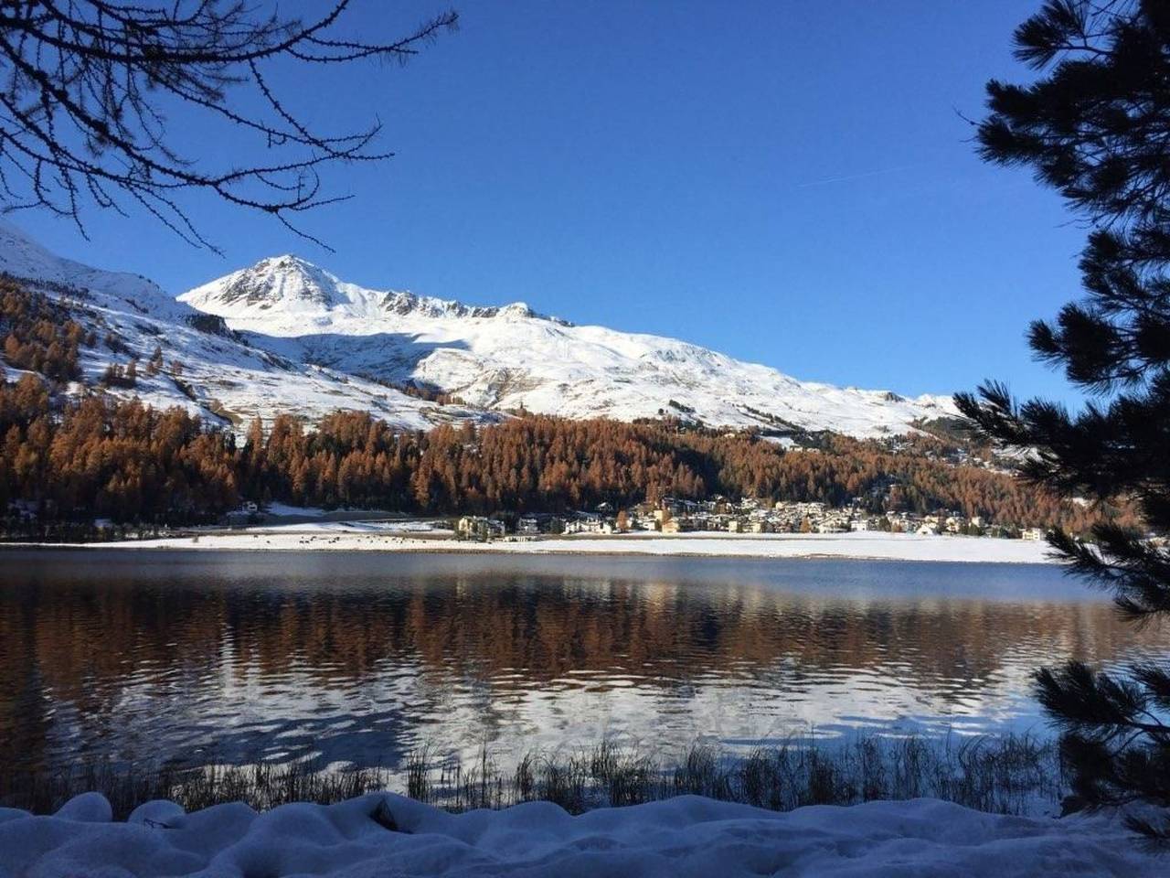 Ganze Wohnung, Chesa Arnica A5 in La Punt-Chamues-ch, Sankt Moritz