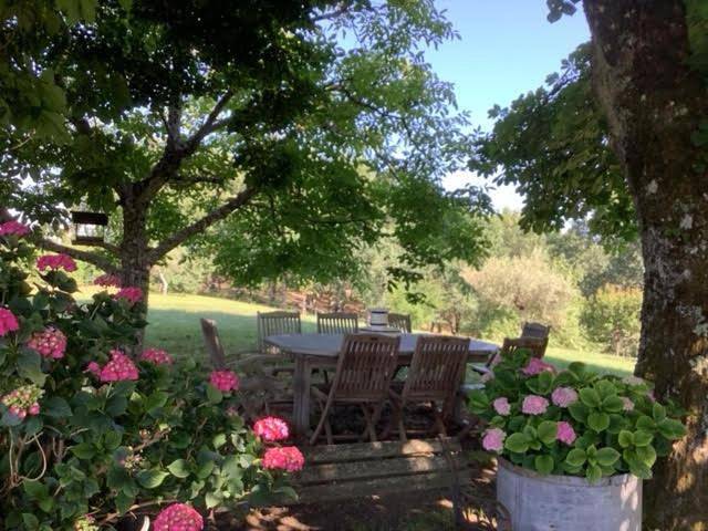 Chambre d’hôte pour 2 personnes, avec jardin ainsi que piscine et vue à Gaillac - 4