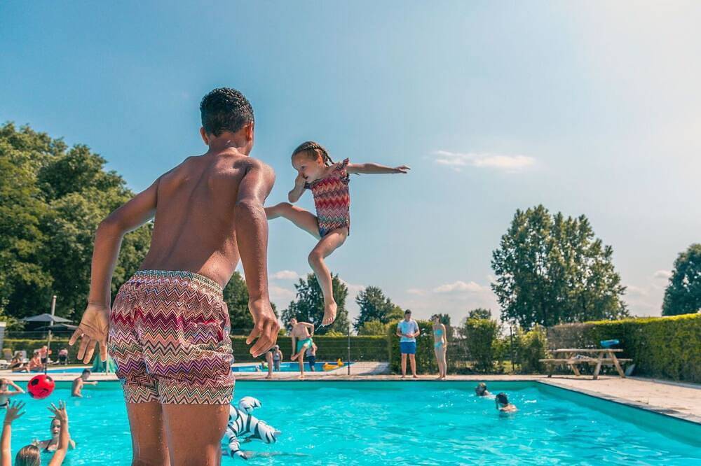 Schönes alleinstehendes Ferienhaus für 4 Leute mit  W-Lan, Pool, Tv, Terrasse und Parkplatz in Dordrecht, Nationalpark De Biesbosch