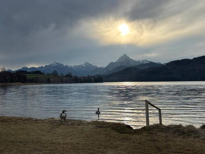 Ferienwohnung für 6 Personen, mit Seeblick und Ausblick sowie Terrasse in Füssen - 2