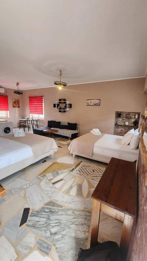 Location de vacances pour 4 personnes, avec vue et jardin, animaux acceptés dans Σκάλα Ερεσού - 3