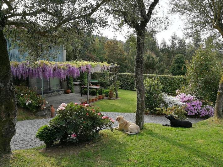 Location de vacances pour 2 personnes, avec Terrasse et Jardin ainsi que Piscine et Vue dans Briteiros - 2