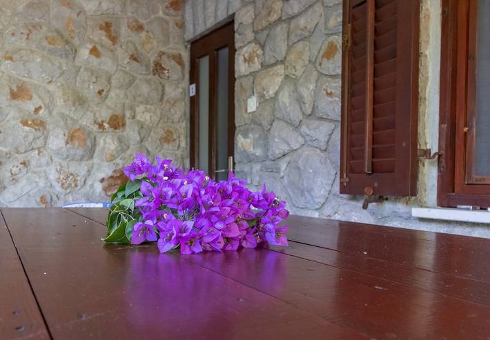 Ferienwohnung für 5 Personen, mit Balkon/Terrasse, mit Haustier in Mali Lošinj