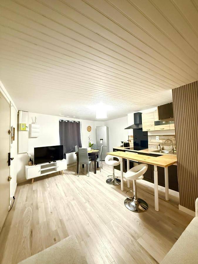 Appartement entier, One-Bedroom Deluxe Apartment in Rive-de-Gier, Parc Naturel Régional du Pilat