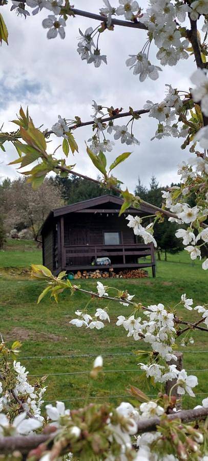 Appartement voor 4 personen, with Balkon and Terras as well as Tuin and Zwembad in Pilsen Regio
