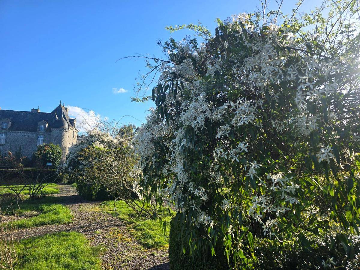 Appartement entier, Two-Bedroom Apartment in Trébry, Cotes-d'Armor