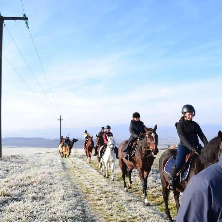 Gîte pour 2 personnes, avec vue, animaux acceptés à Vic-le-Comte - 4