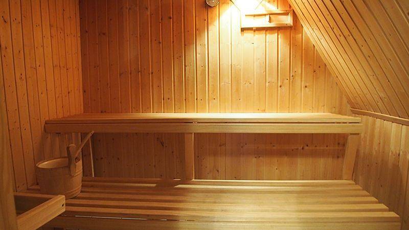 Ferienhaus für 8 Personen, mit Garten und Ausblick sowie Sauna, mit Haustier in Mittleres Nordfriesland - 4