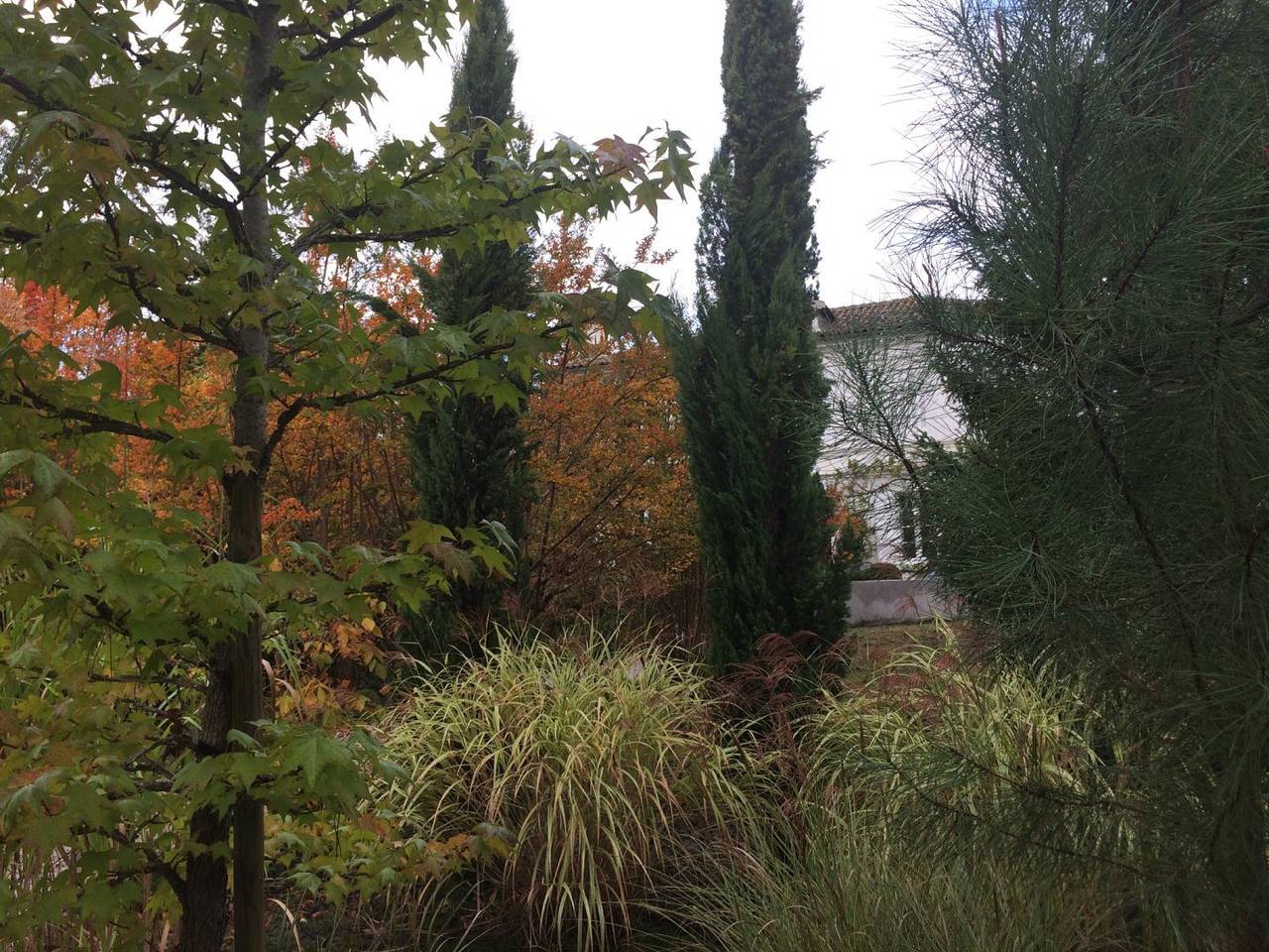 La Blanche Girondine - Libellule in Hostens, Région de Langon