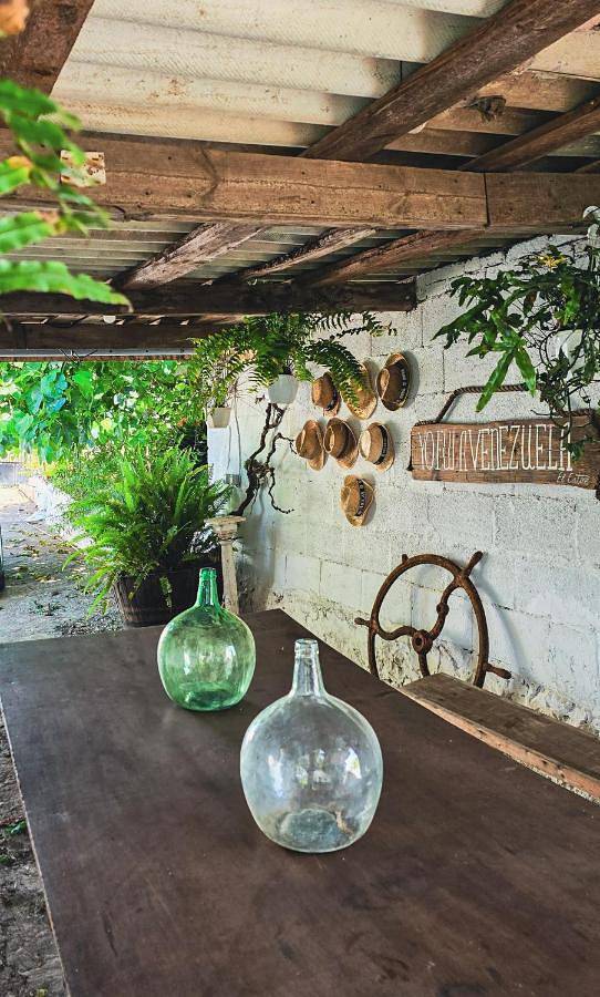 Casa rural para 4 personas, con jardín y vistas en Tacoronte - 3