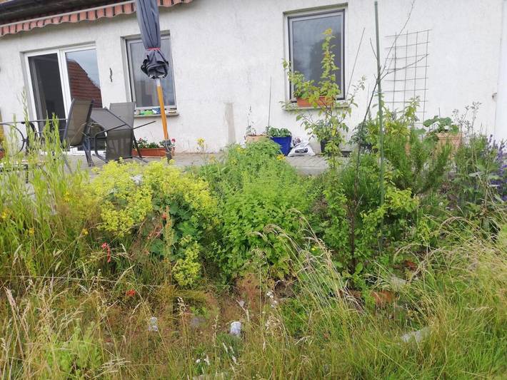 Ferienwohnung für 4 Personen, mit Terrasse und Garten in Wittenburg