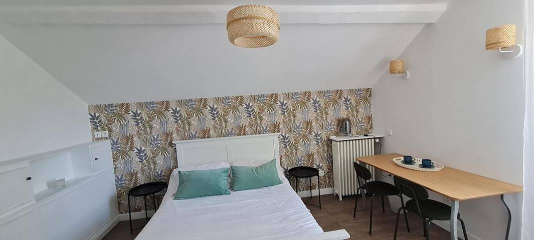 Chambre d’hôte pour 2 personnes, avec Terrasse ainsi que Jardin et Vue à Chatou