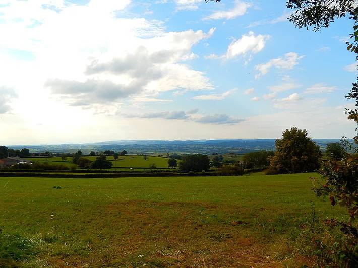 Gîte für 5 Personen, mit Terrasse und Garten, mit Haustier in Burgund - 4
