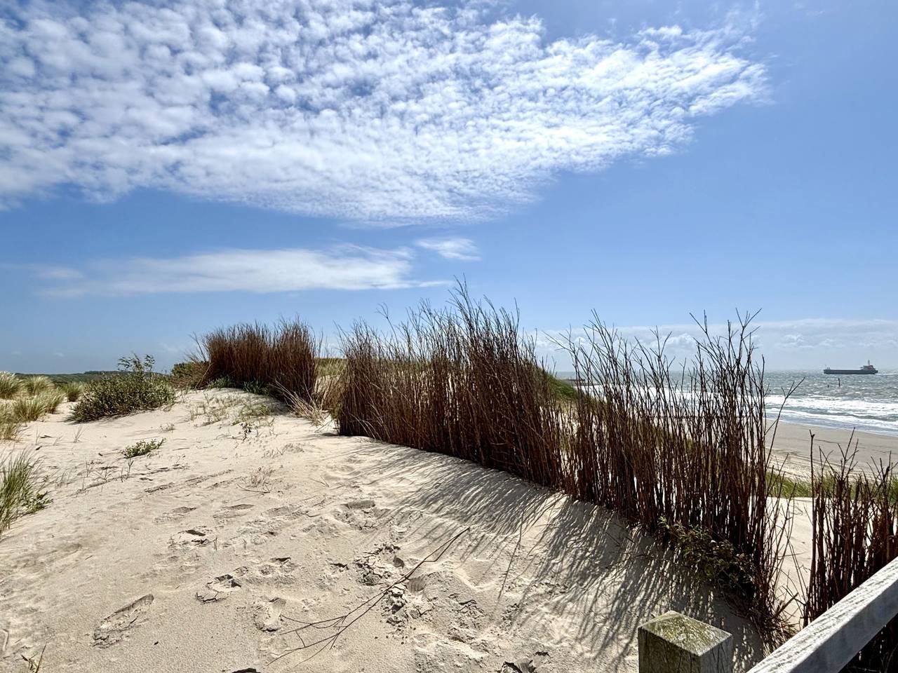 De Ruiser in Groot Valkenisse, Biggekerke