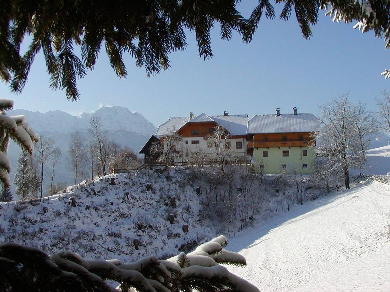 Ganze Wohnung, Waldblick in Steinfeld in Kreuzeckgruppe, Steinfeld im Drautal
