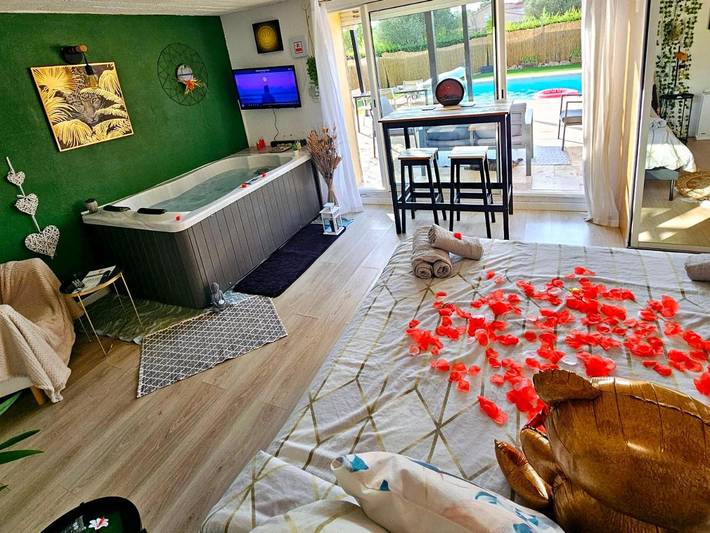 Gîte pour 2 personnes, avec piscine ainsi que jardin et jacuzzi à Rocbaron - 3