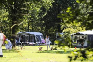 Camping für 4 Personen in Nationalpark Dwingelderveld, Drenthe, Bild 3