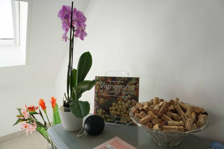 Location de vacances pour 6 personnes, avec vue et terrasse à Sancerre - 2