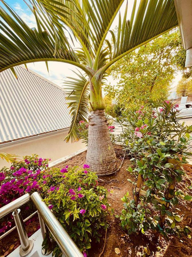 Location de vacances pour 4 personnes, avec terrasse dans Saint-Barthélemy - 4