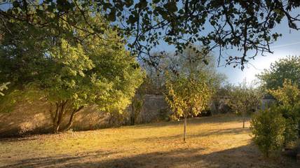 Gîte pour 8 Personnes dans Thomery, Seine-et-Marne, Photo 4