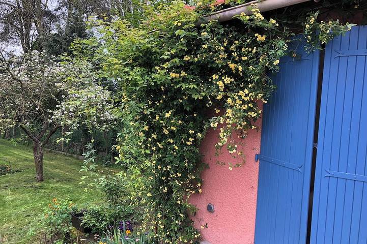 Location de vacances pour 4 personnes à Chatou - 4