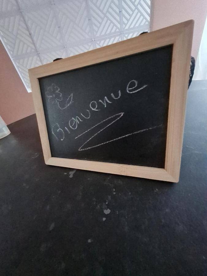 Location de vacances pour 5 personnes, avec vue et jardin, animaux acceptés dans Le Mesnil-sur-Oger - 3