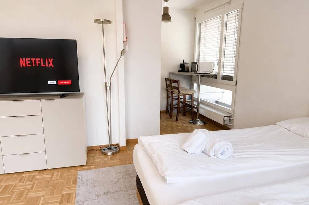 Appartement entier, Perfectly located studio (Art 5) in Zurich, District de Zurich