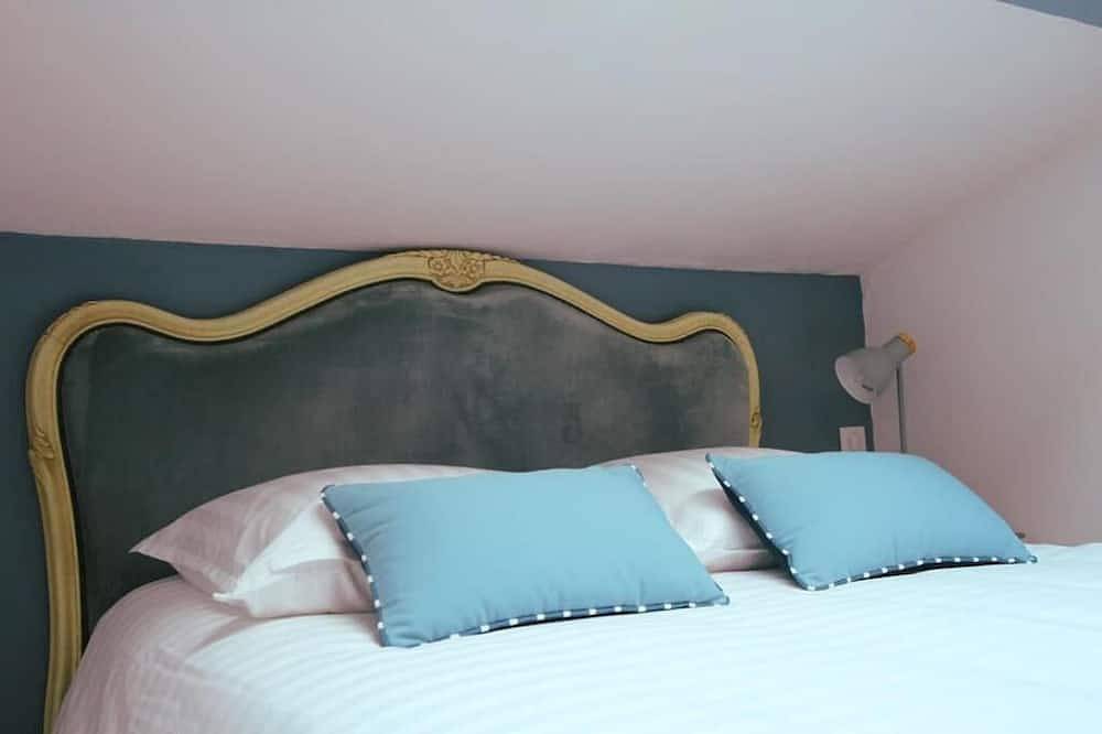 Villa du Parc - large character house close to the center in Montauban, Tarn-et-Garonne