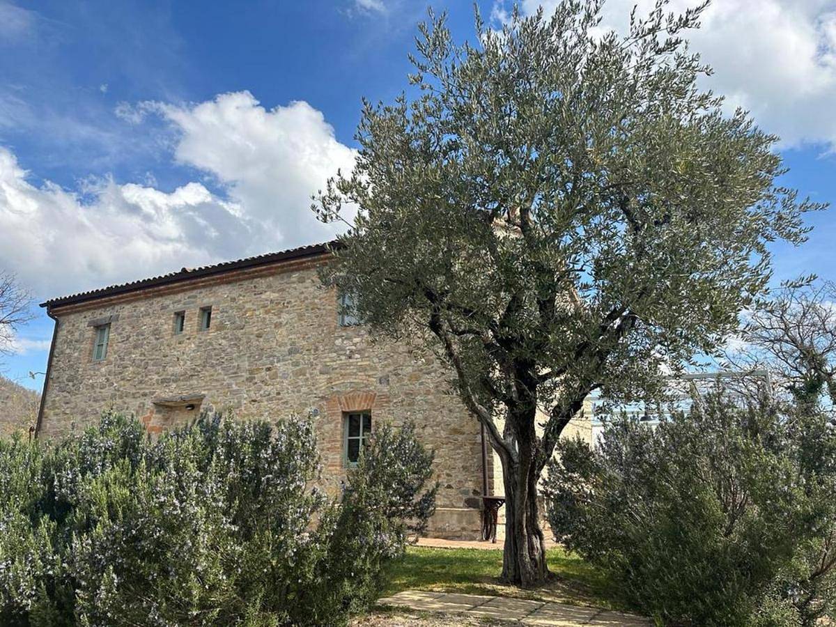 Borgo Cardaneto in Montone, Valtiberina