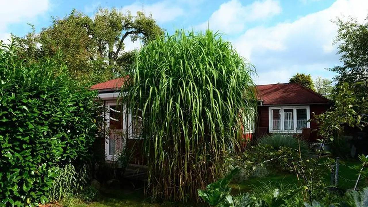 Entire holiday apartment, Ferienwohnung für 4 Personen (68 m²) in Bad Malente in Bad Malente, Malente