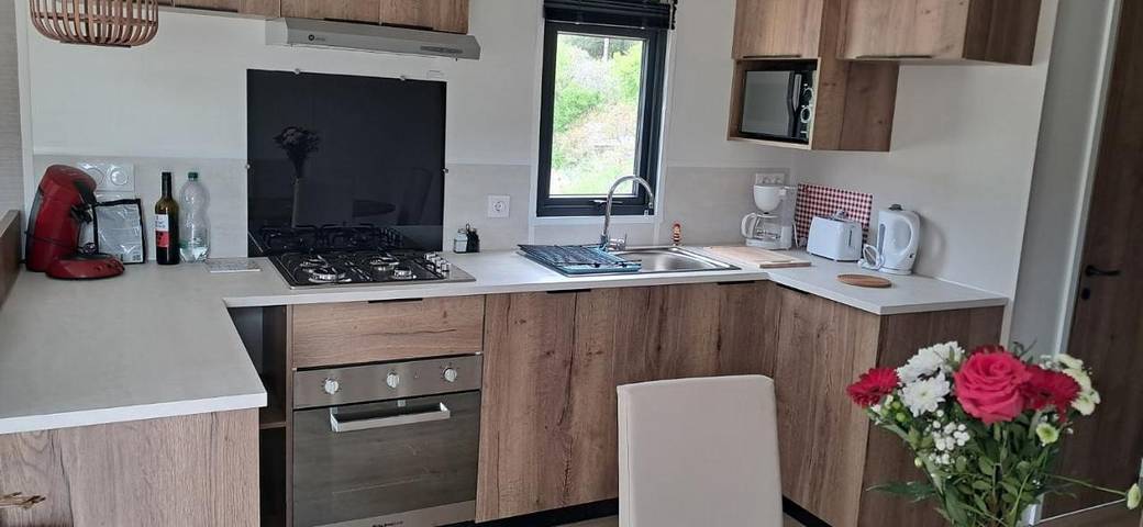 Location de vacances pour 4 personnes, avec jardin, animaux acceptés à Dannes - 2