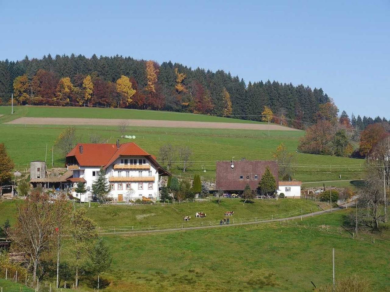 Ferienhaus für 7 Personen in Biederbach, Schwarzwald